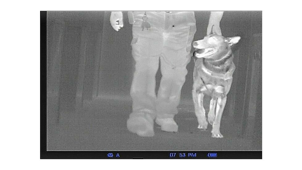 Pulsar Thermal Imaging Scope Quantum, 9 Hz, LD38S PL77312