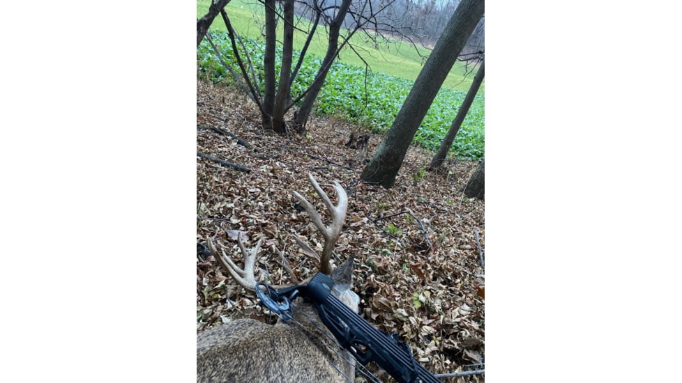 RaKK Fuel CheckMate 1/4 Acre, Small, 7544