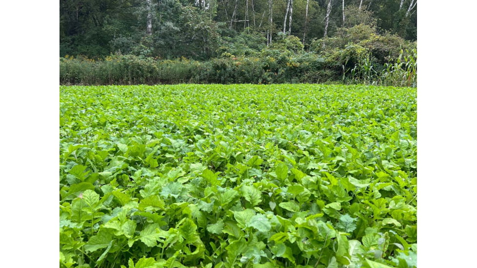 RaKK Fuel CheckMate 1/4 Acre, Small, 7544