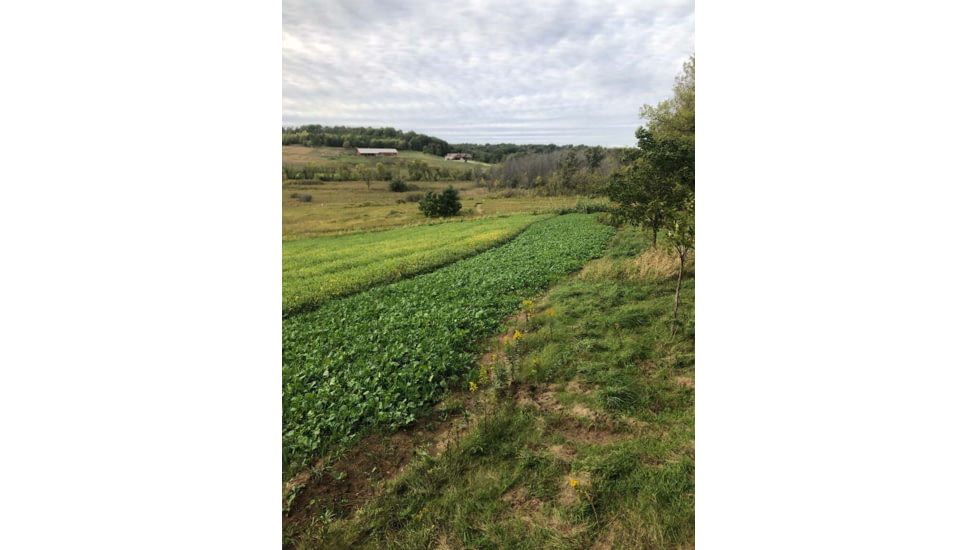 RaKK Fuel Groundwork 1/2 Acre, Large, 7518