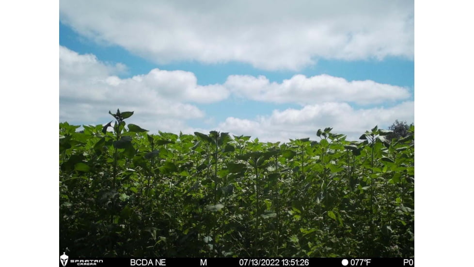 RaKK Fuel Hunters Haven 1/4 Acre, Large, 7522