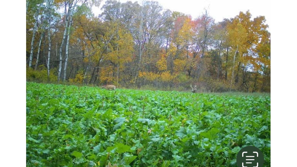 RaKK Fuel Tombstone 1/2 Acre, Small, 7536