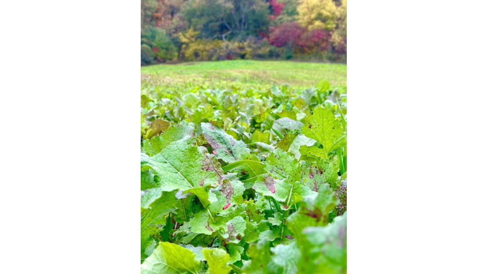 RaKK Fuel Tombstone 1/2 Acre, Small, 7536