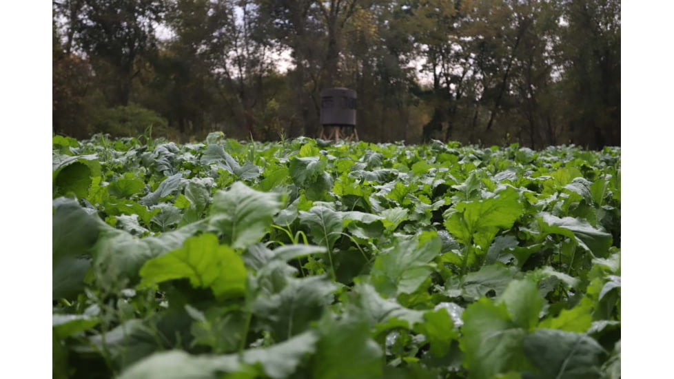 RaKK Fuel Tombstone 1/2 Acre Brassica/Clover Blend, Small, 7536