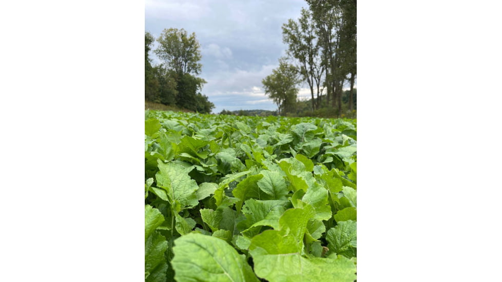 RaKK Fuel Tombstone 1/2 Acre, Small, 7536