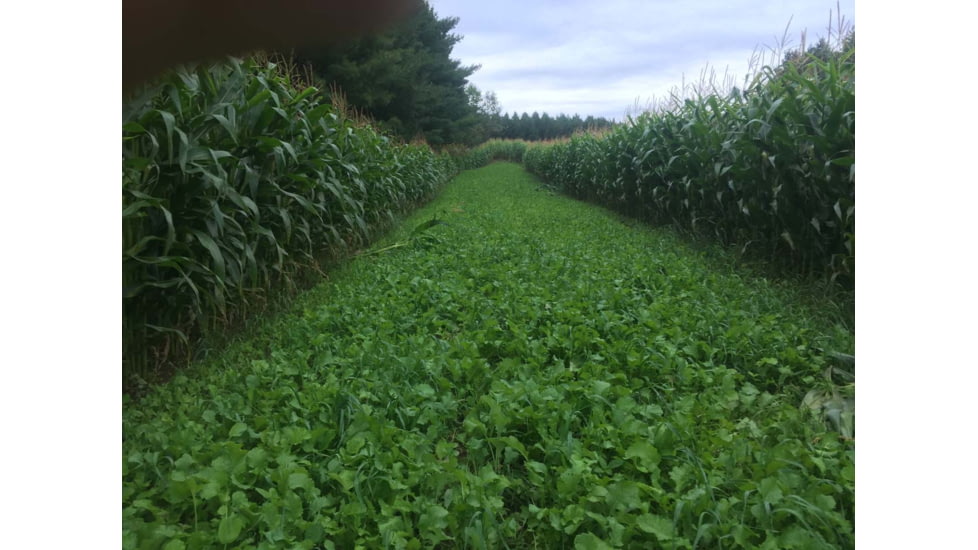 RaKK Fuel Wicked Greenz 1/4 Acre, Large, 7523