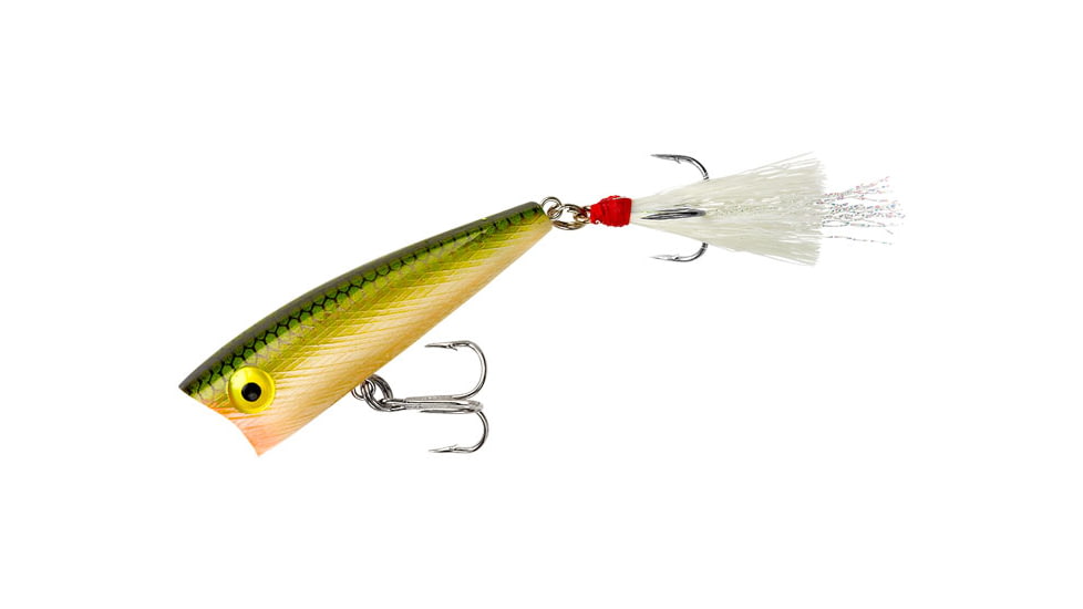 Rebel Lures Rebel Teeny Pop-R Topwater Bait, 2in, 1/8oz, Floating, Tennessee Shad, P5048