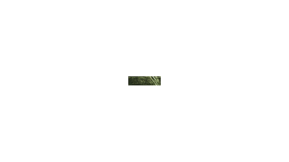 Remington Sporting Dog Nylon Hound Collar, Camo Grassy Field, 18 in., 1 in. Double-Ply R2903-G-GFL18