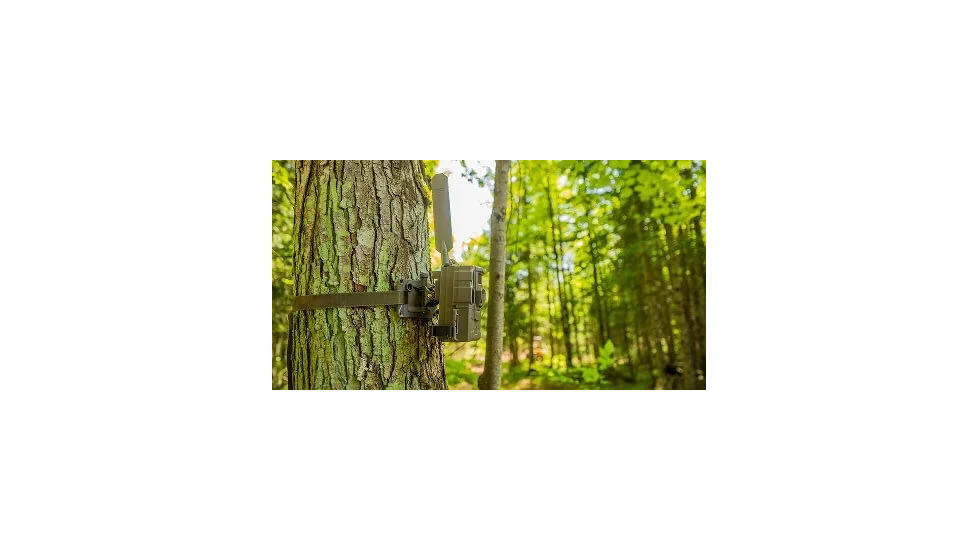 Reveal by Tactacam 3.0 Tree Mount, Black, R-A-TM-V3
