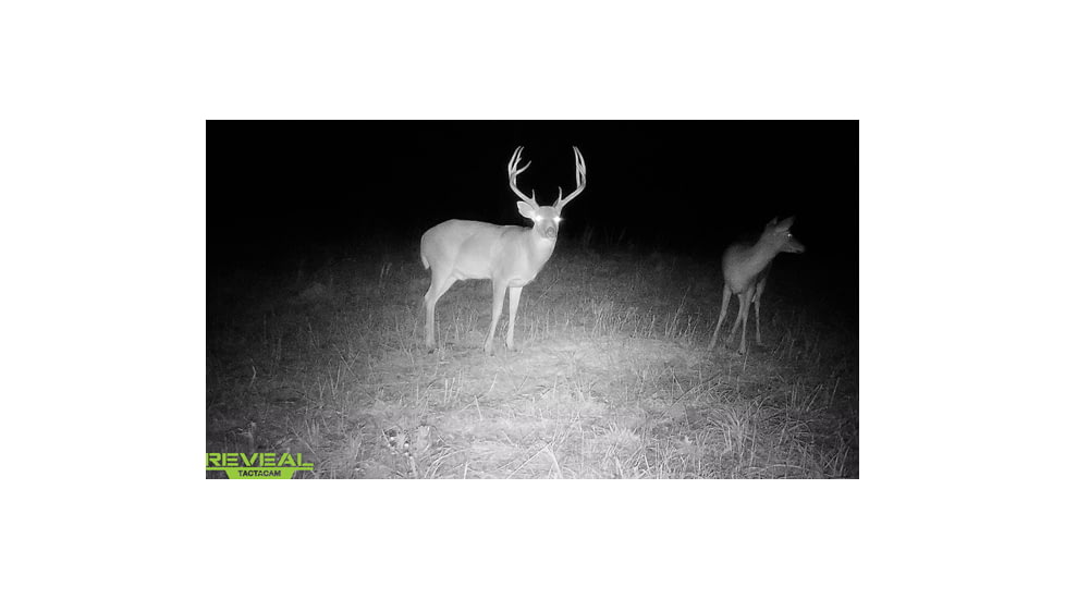 Reveal by Tactacam Tactacam Reveal X Gen 2.0 Hunting Camera, Gray, Medium, TA-TC-XG2