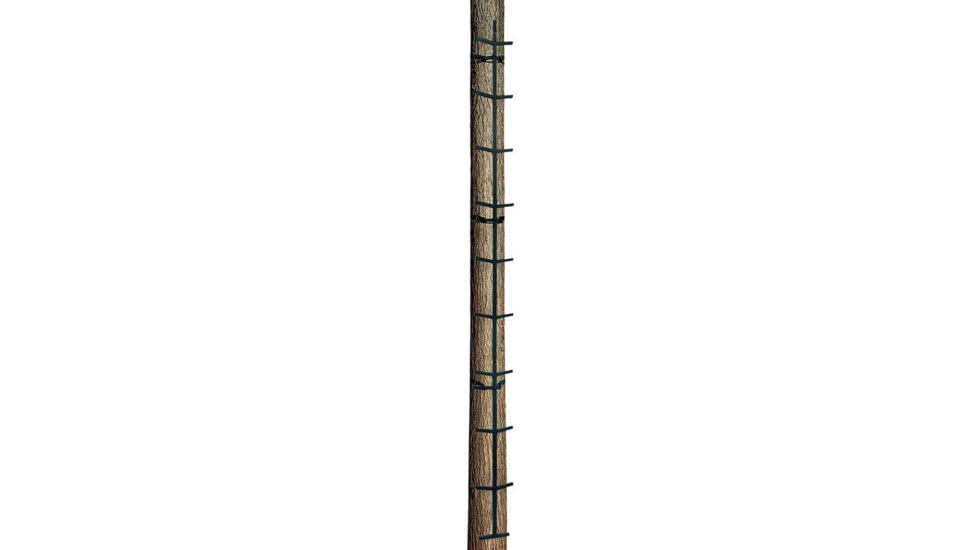 Rhino Blinds 20ft Mini Ladder, Black/Steel, RTML-200