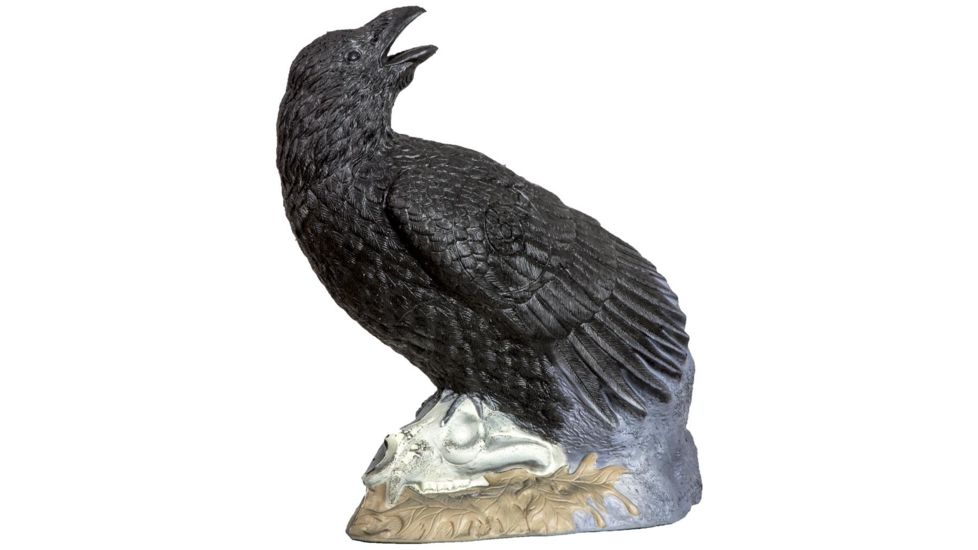 Rinehart Raven Target, Black 85135