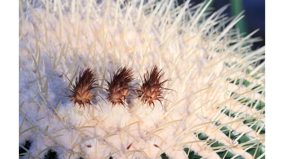 Rokinon Cine DS 135mm T2.2 Telephoto Cine Camera Lens for Canon EF, Black DS135M-C