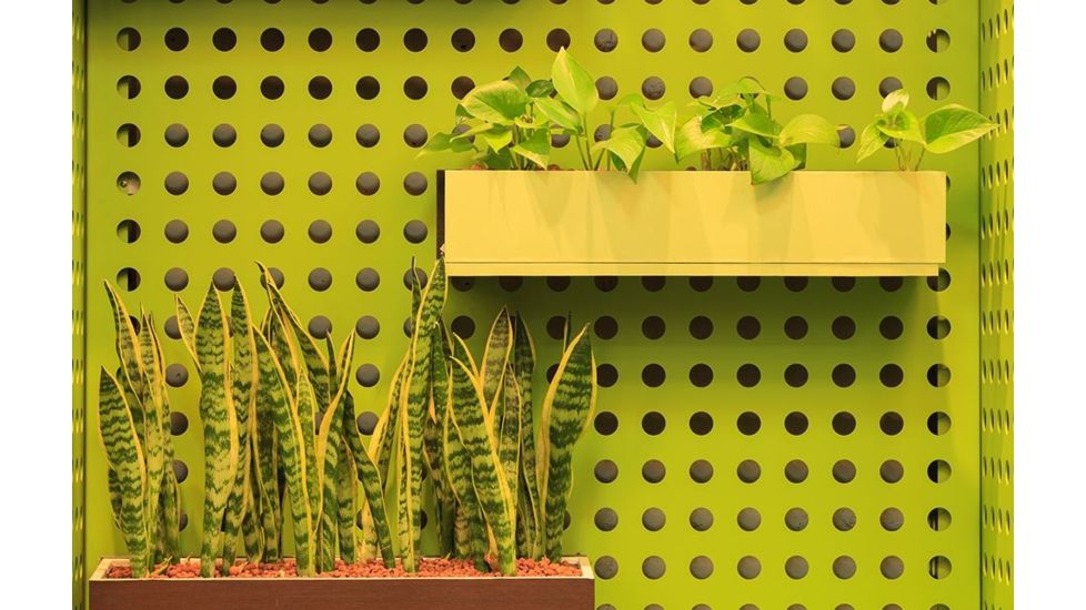 Rokinon Cine DS 135mm T2.2 Telephoto Cine Camera Lens for Canon EF, Black DS135M-C