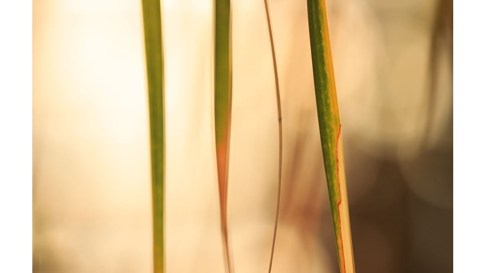 Rokinon Cine DS 135mm T2.2 Telephoto Cine Camera Lens for Canon EF, Black DS135M-C