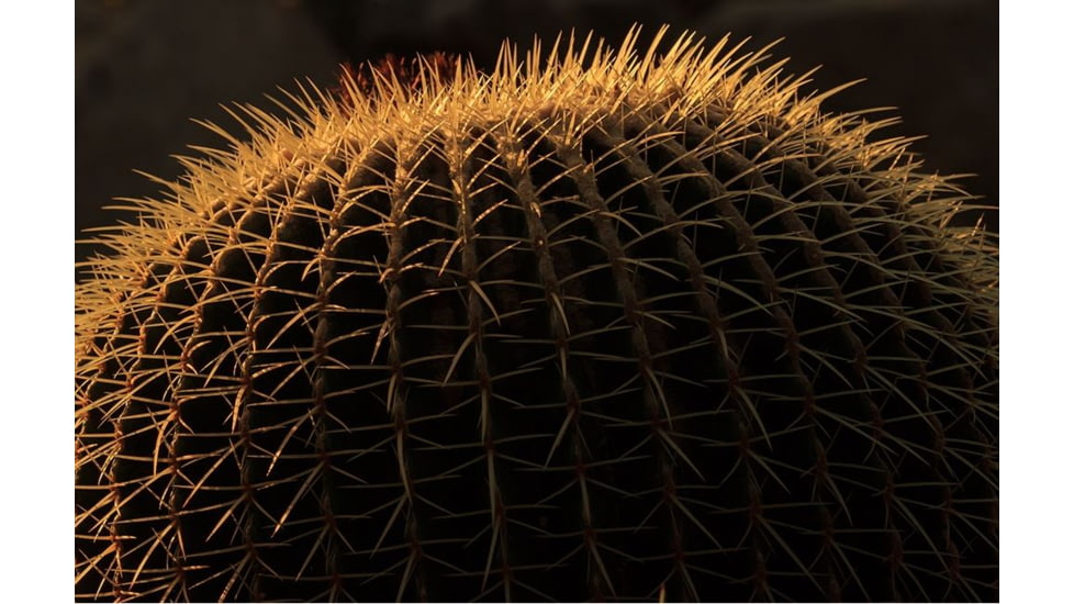 Rokinon Cine DS 135mm T2.2 Telephoto Cine Camera Lens for Canon EF, Black DS135M-C