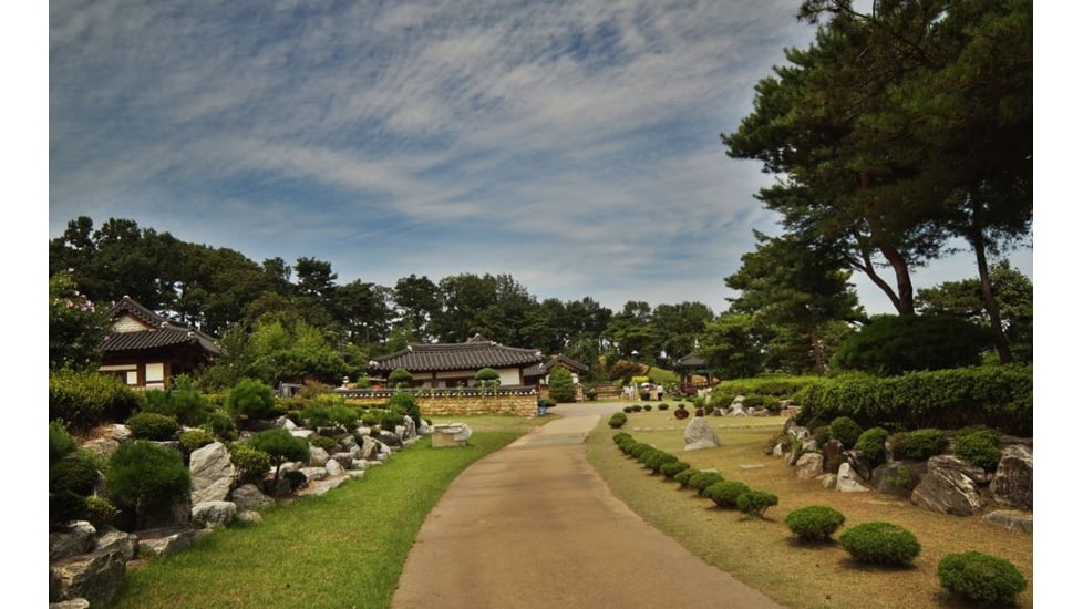 Rokinon DS 14mm T3.1 Cine Camera Lens for Canon EF, Black DS14M-C