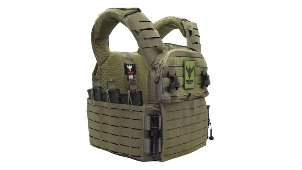 Shellback Tactical Banshee Elite 3.0 Lightweight Level III Armor System, SAPI Cut, Single Curved, 10x12in, Ranger Green, 2XL/3XL, SBT-BANELT3-LON-III-P-BK-2X3X