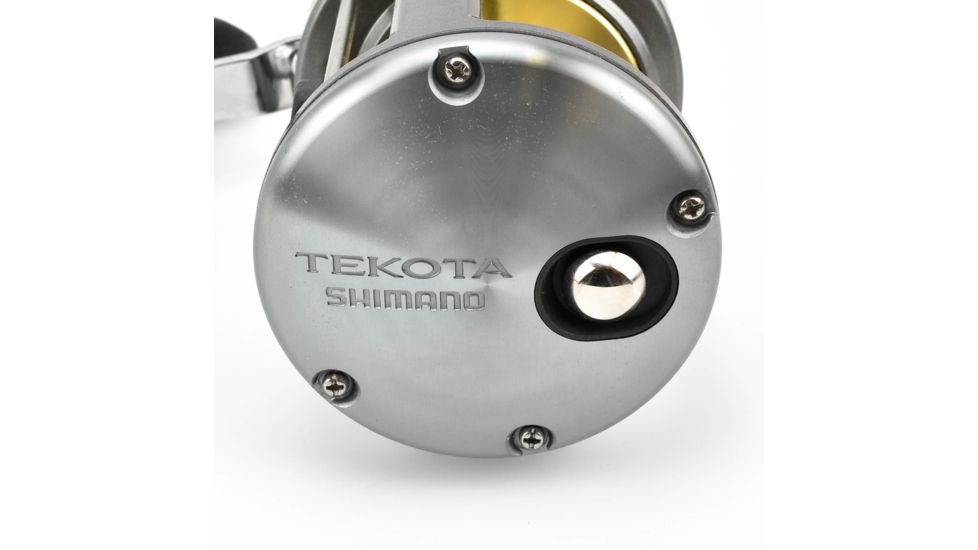 Shimano Tekota 800 Saltwater Casting Reel 257998