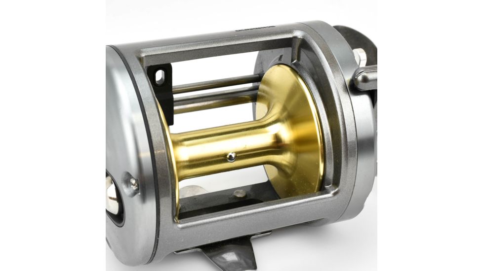 Shimano Tekota 800 Saltwater Casting Reel 257998