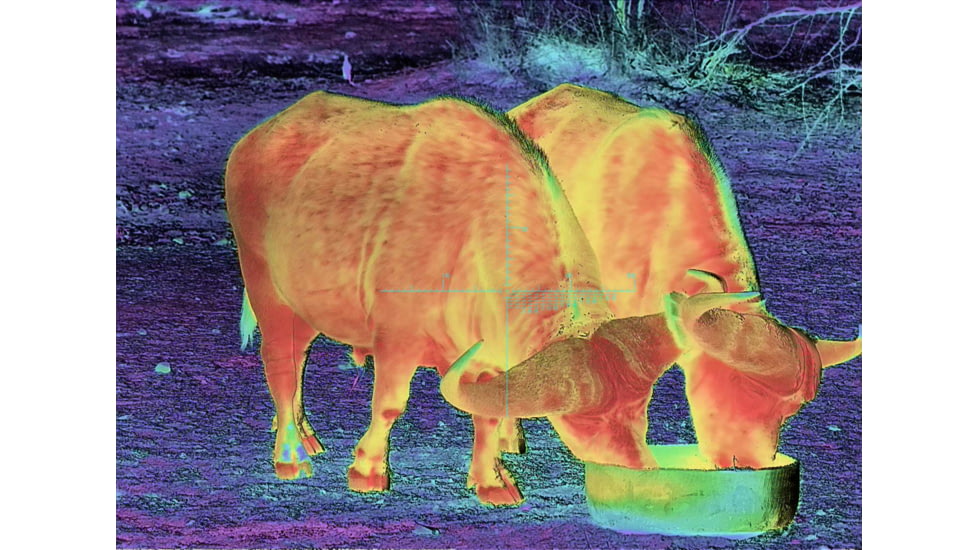 Shinenyx AIM101 384 5.2x48mm Thermal Imaging Rifle Scope, Black, AIM101