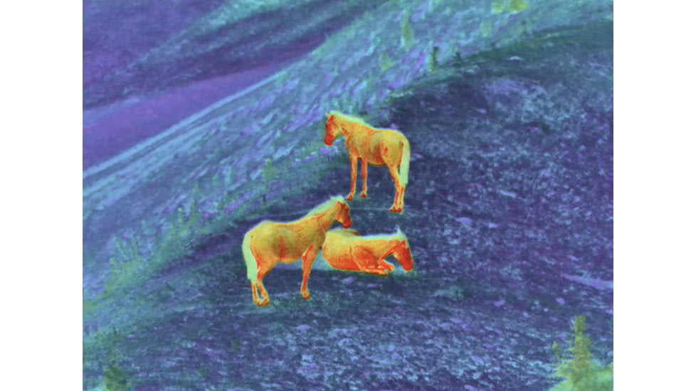 Shinenyx AIM101 384 5.2x48mm Thermal Imaging Rifle Scope, Black, AIM101