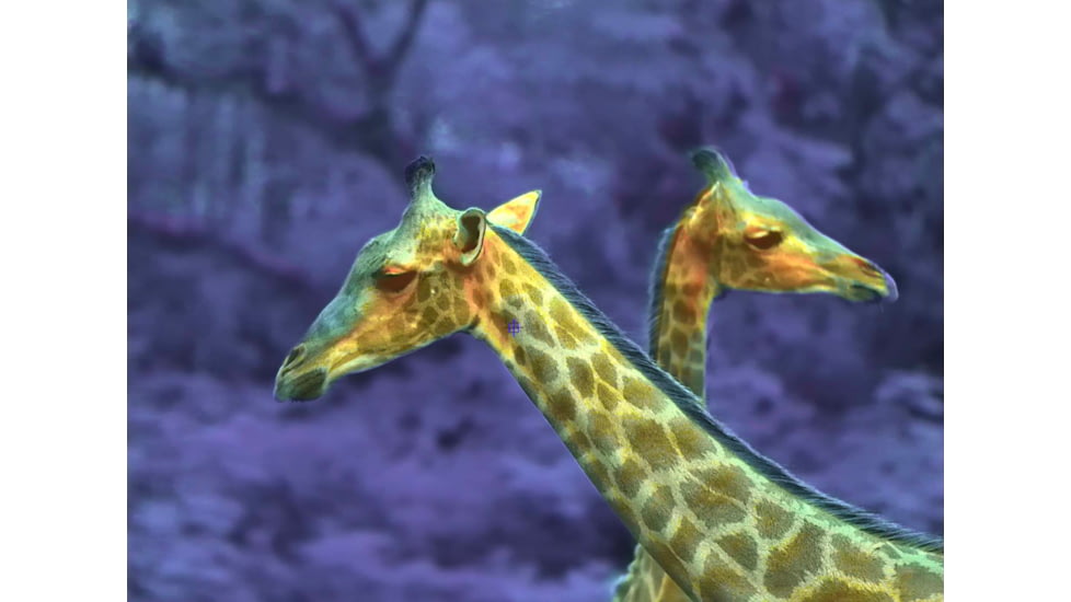 Shinenyx AIM101 384 5.2x48mm Thermal Imaging Rifle Scope, Black, AIM101