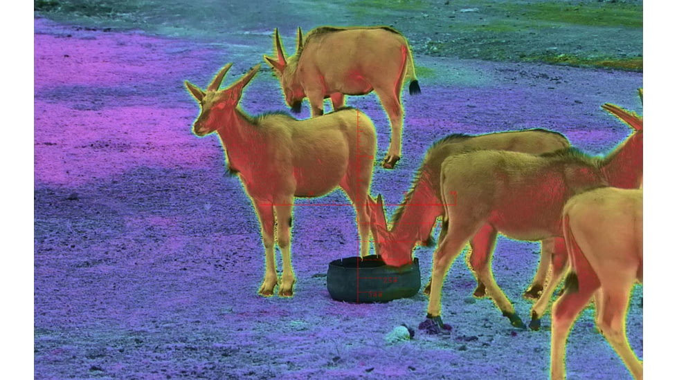 Shinenyx AIM101 384 5.2x48mm Thermal Imaging Rifle Scope, Black, AIM101