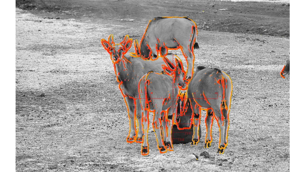 Shinenyx AIM101 384 5.2x48mm Thermal Imaging Rifle Scope, Black, AIM101