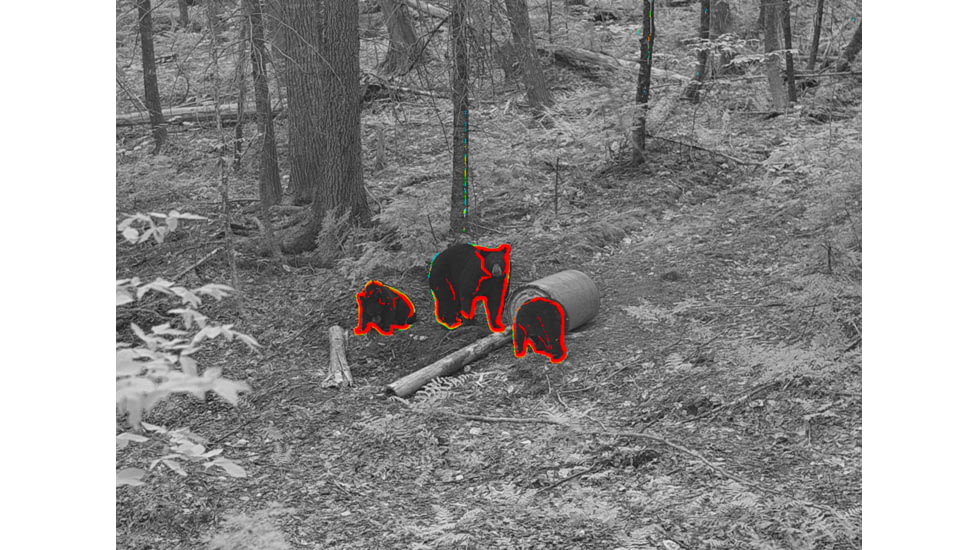 Shinenyx G1A/384 1x5.45-16.5mm Thermal Imaging Monocular, Black, G1A