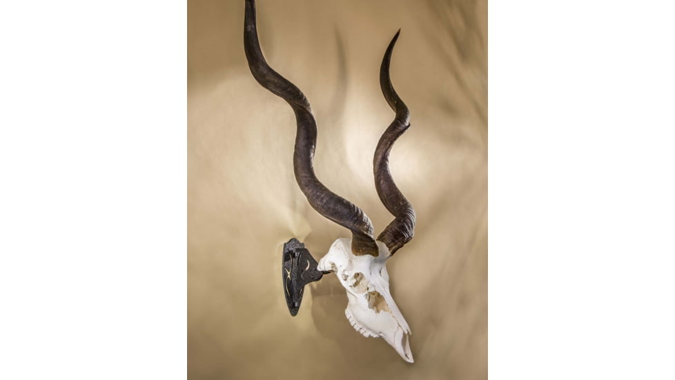 Skull Hooker Big Hooker Short Arm Accessory, Black, SKH-BHSA-ASSY-BLK