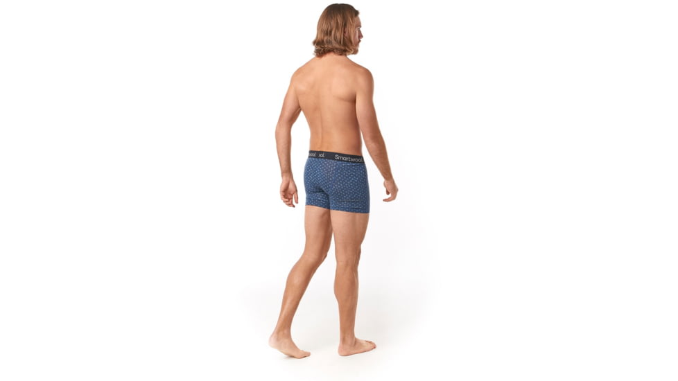 Smartwool Merino 150 Print Boxer Brief - Mens, Alpine Blue Tick Stitch Print, Large, SW015151C47-L