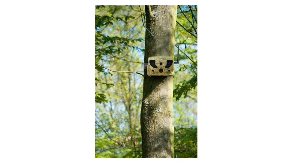 Spy Point Tiny-WBF 8MP Trail Camera w/Wireless Access and Time-Lapse/Multi-shot, Camo Tiny-WBF