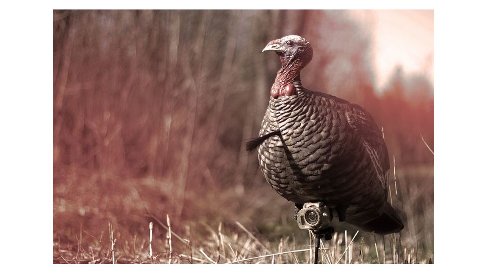 Spy Point Xcel Action Camera Decoy Mount, Black XHD-DM