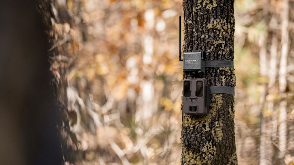 Spypoint CELL-LINK Trail Camera, Verizone Cell Service, Grey, CELL-LINK-V