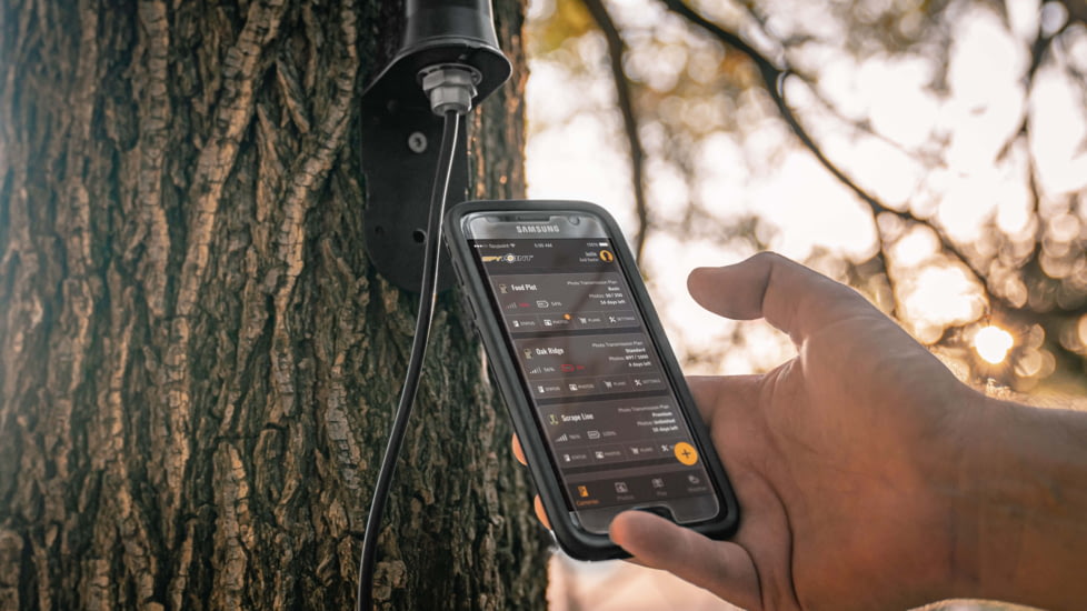 Spypoint Flex Camera, Gray, FLEX