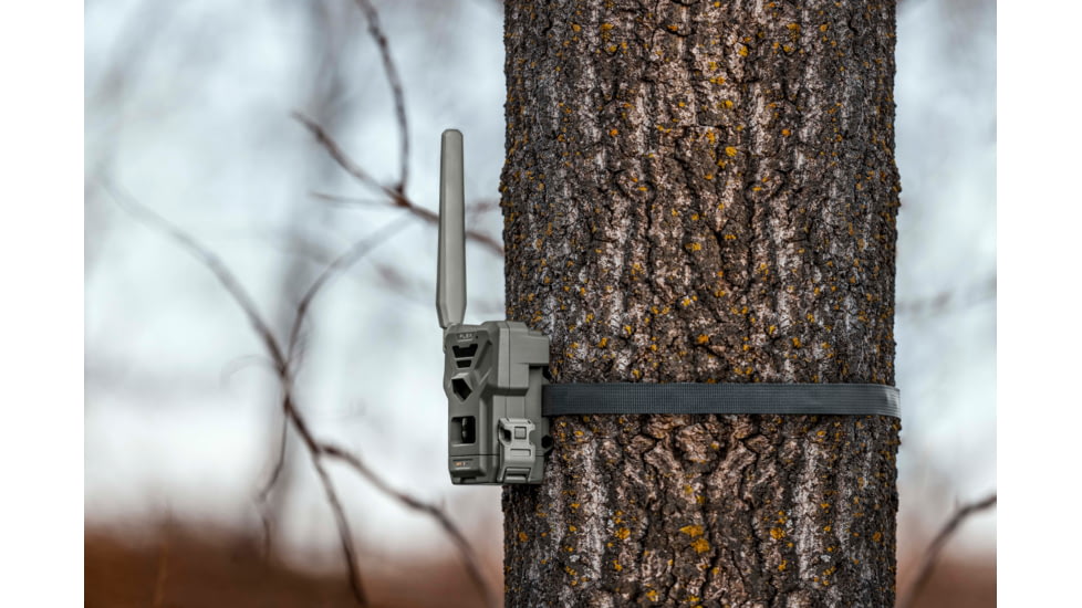 Spypoint Flex Camera, Gray, FLEX