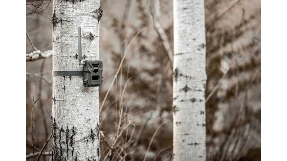Spypoint Flex Camera, Gray, FLEX