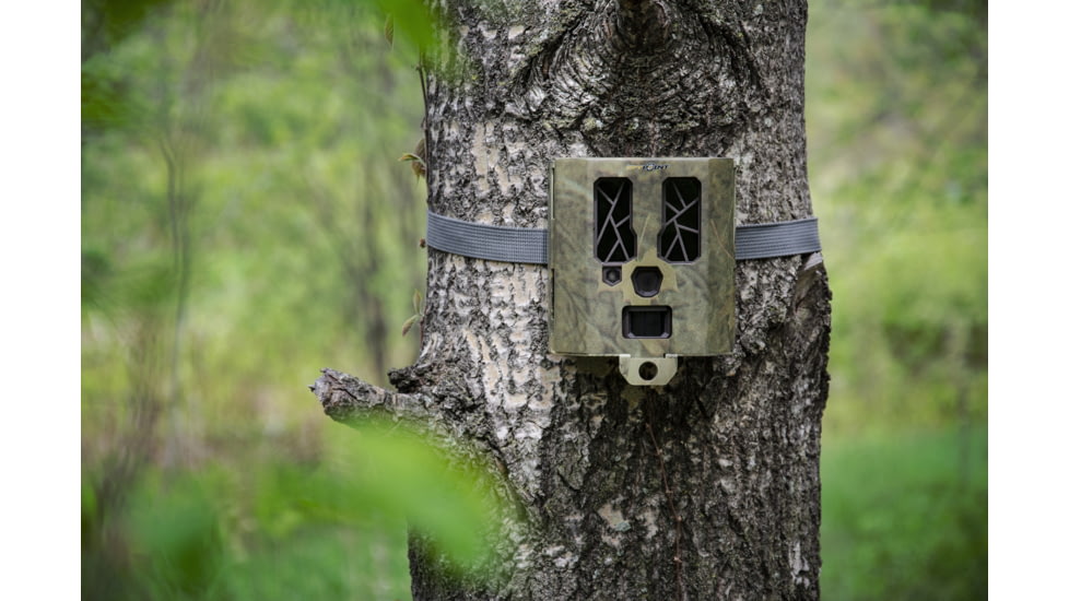 Spypoint Security Box For 31 LED Trail Cameras, SB-400