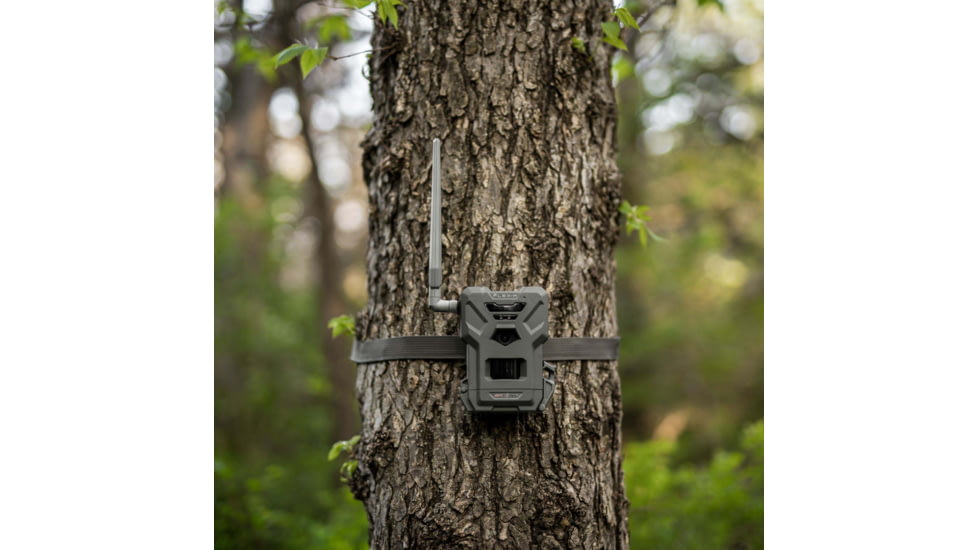 Spypoint Flex-M Twin Pack Cellular Camera Twin Pack Multi Carrier, Green, 1840