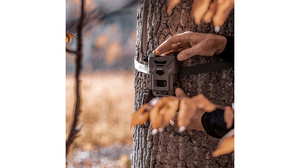 Spypoint FLEX-M Cellular Trail Camera - Twin Pack F4BA2688