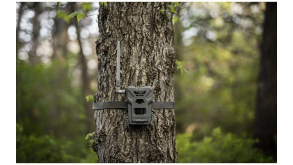 Spypoint Spypoint Flex-M Cellular Camera w/Solar Panel