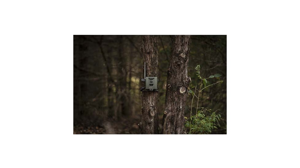 Spypoint Steel Security Flex/Flex G-36 Box, 16-Guage Steel, Pad/Cable Lock, SB500S