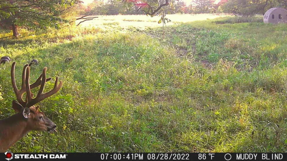 Stealth Cam STC-DCPTR Decepter Camo