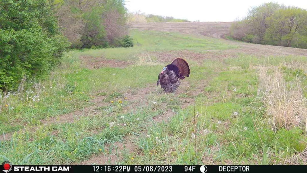 Stealth Cam STC-DCPTR Decepter Camo
