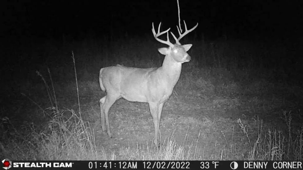 Stealth Cam STC-DCPTR Decepter Camo