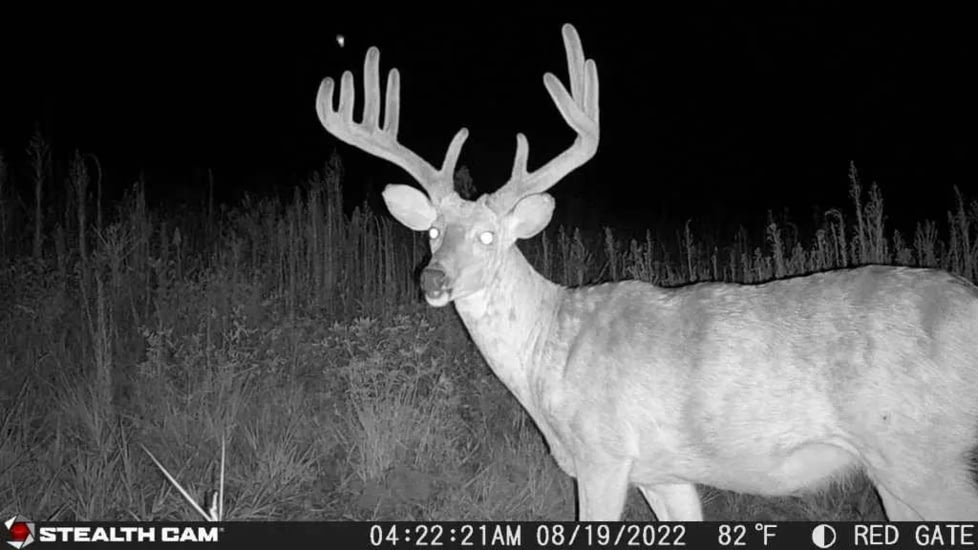 Stealth Cam STC-DCPTR Decepter Camo