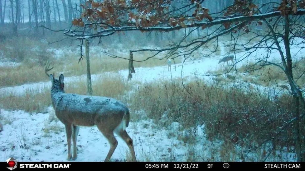 Stealth Cam STC-DCPTR Decepter Camo