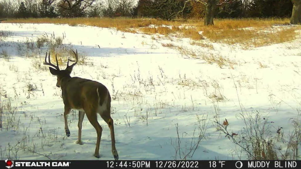 Stealth Cam STC-DCPTR Decepter Camo