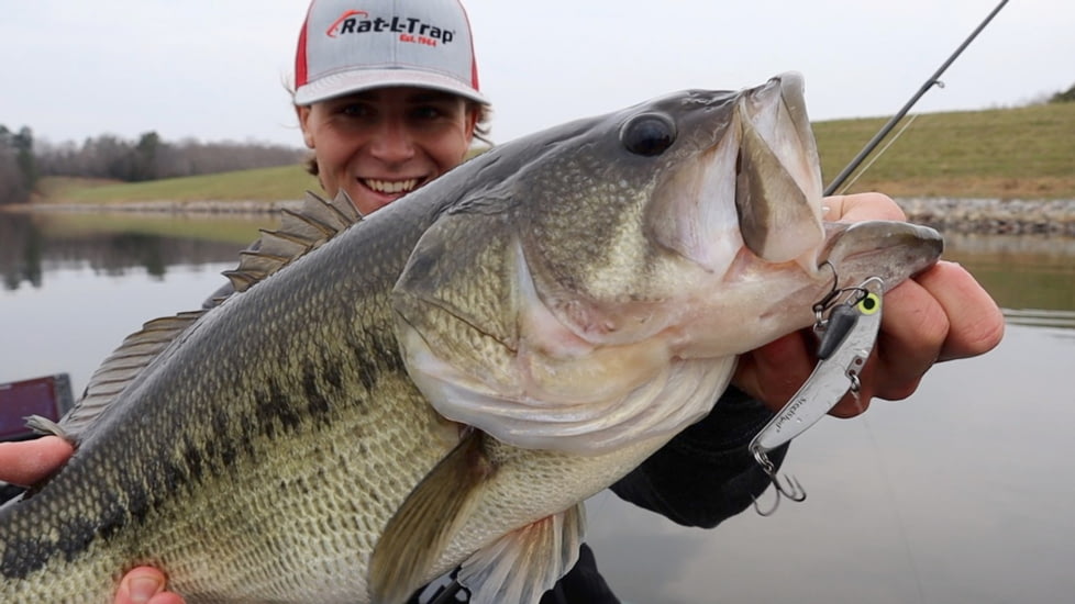 SteelShad 3/8 oz Blade Bait, White Shad, SSL-10062